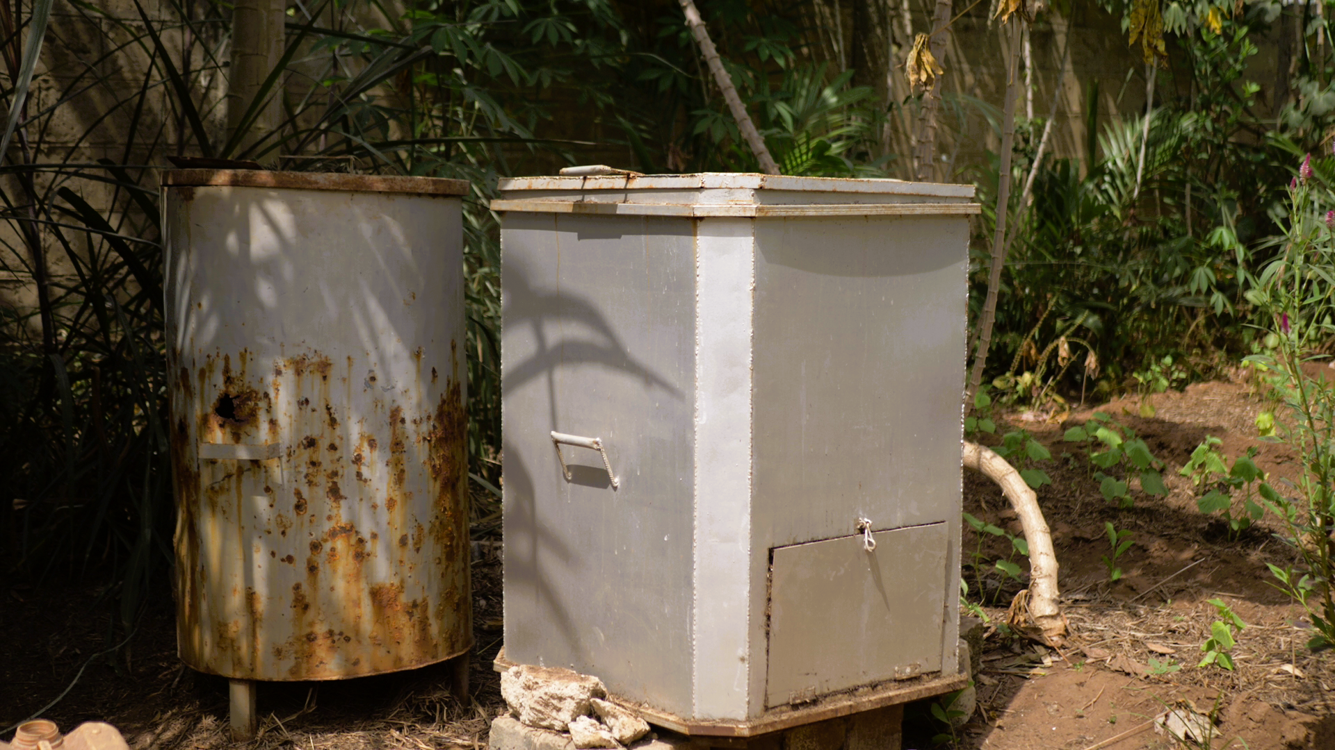 Agroecology and Bioinputs